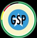 German Somali Professionals